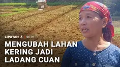 Mengubah Lahan Kering Jadi Ladang Cuan