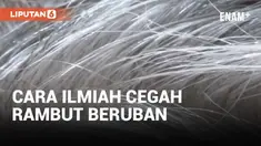 Apakah Anda ada keluhan soal rambut beruban? Bagaimana jika ternyata suatu hari uban bisa dicegah sama sekali meski di usia senja? Kita ke New York di mana sekelompok peneliti menemukan alasan ilmiah penyebab rambut kita bisa beruban. Selengkapnya la...