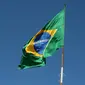 Ilustrasi bendera Brazil, negara tempat bayi dengan ekor dan "bola" dilahirkan. (Pixabay/gleidiconrodrigues)