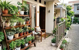 7 Konsep Teras Rumah Sempit Tapi Punya Kebun Mini dengan Rak Bertingkat
