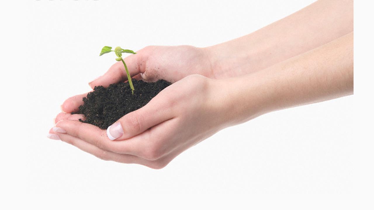 Cara Sederhana Selamatkan Bumi Kita