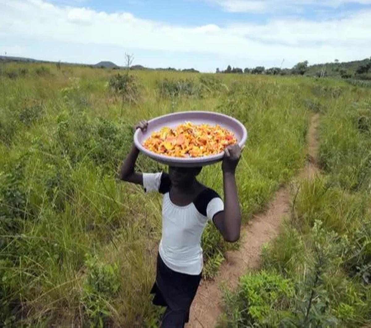 Melansir dari berbagai sumber, Masiyiwa memiliki harta kekayaan bersih sebesar USD 1,8 miliar atau Rp27 triliun (kurs Rp 15.326).