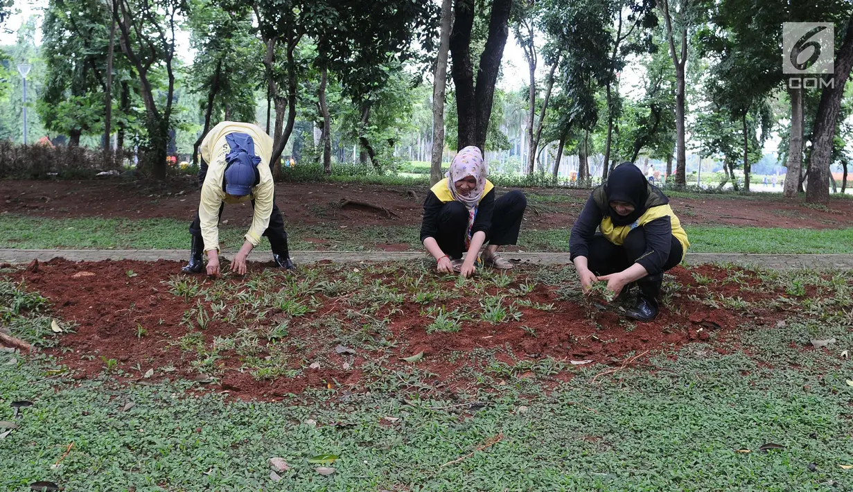 Petugas membersihkan taman di kawasan Monas, Jakarta, Rabu (23/1). Sejumlah taman di kawasan Monas rencananya akan ditata ulang. (Liputan6.com/Herman Zakharia)