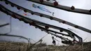 Seorang anak laki-laki mengambil bagian dalam Varvara Kite Fest di Desa Varvara, pesisir Laut Hitam, Bulgaria, Jumat (27/8/2021). Penyelenggara Varvara Kite Fest Andrey Kulev mengatakan bahwa menerbangkan layang-layang seperti melepaskan semua masalah Anda di langit. (AP Photo/Valentina Petrova)