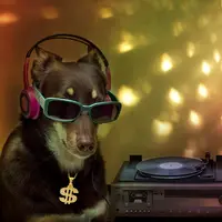 Jangankan manusia, binatang juga ikutan goyang kalau dengar lagu dari Justin Bieber. Nggak percaya? Simak videonya.