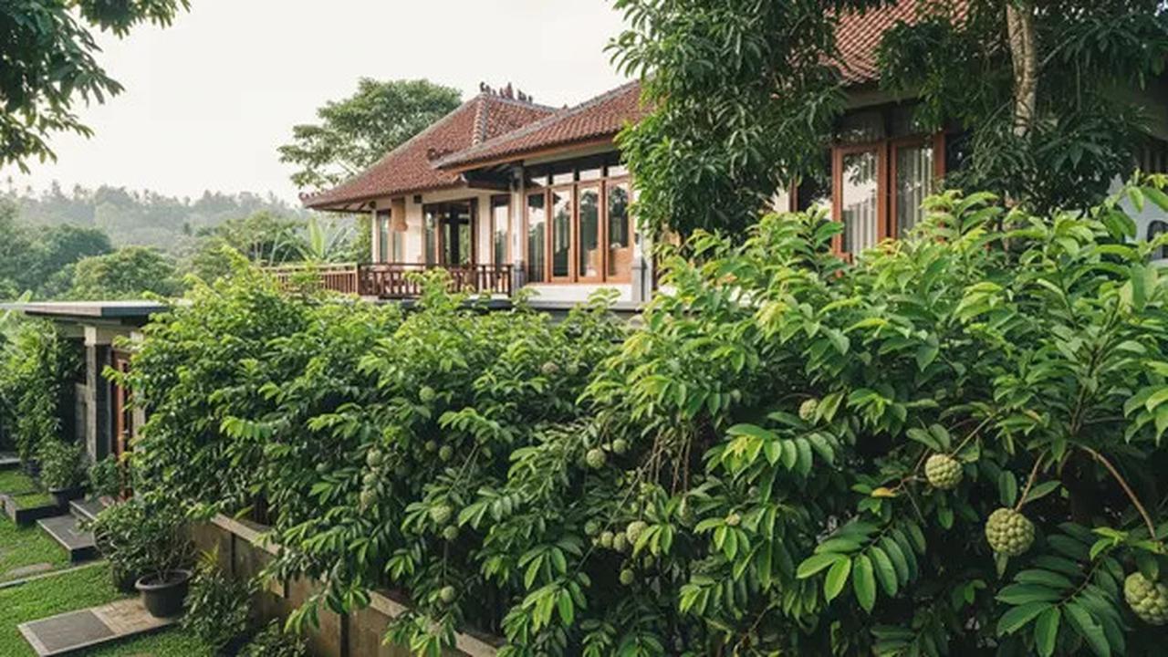 12 Pilihan Pohon Buah untuk Rumah Dekat Sungai agar Tidak Didatangi Ular