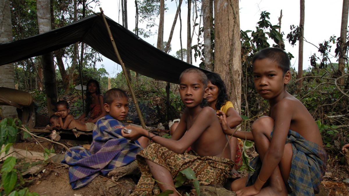 Fakta Menarik Seputar Kehidupan Suku Anak Dalam di Jambi - News Liputan6.com