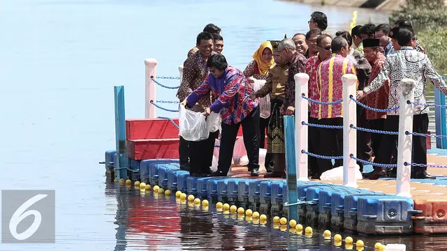 20160722-Pelapasan-100.000-ekor-Benih-Ikan-Patin-Sungai-Siak-Jusuf-Kalla-FF