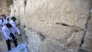 Petugas menggunakan tongkat mencongkel catatan doa yang ditempatkan jemaah di celah-celah Tembok Barat, tempat doa paling suci Yudaisme, di Kota Tua Yerusalem, Rabu (25/8/2021). (AP Photo/Ariel Schalit)