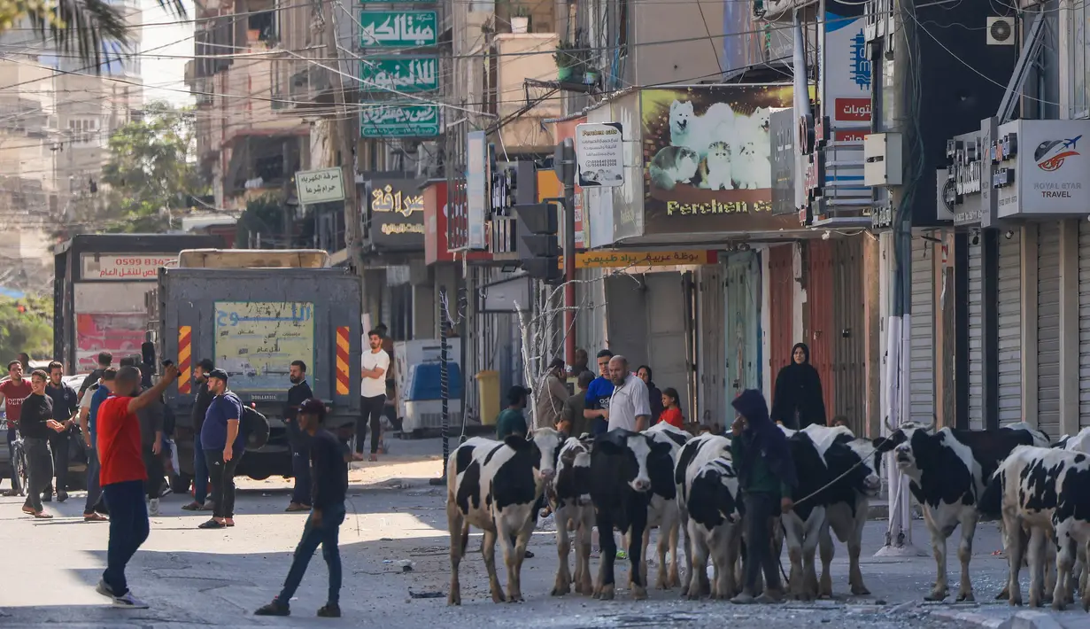 Warga Gaza membawa hewan ternak untuk mengungsi ke lokasi yang lebih aman. (MOHAMMED ABED/AFP)