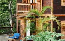 Rumah Kayu Minimalis Modern,Perpaduan Keindahan Alami dan Desain Kontemporer