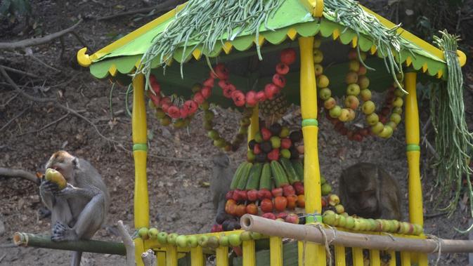 Rwanda Bojana, ritual budaya dan wisata yang dikembangkan untuk melindungi monyet liar di sekitar Desa Cikakak. (Foto: Liputan6.com/Muhamad Ridlo)