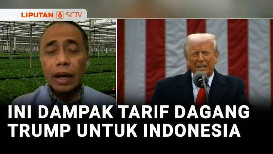 VIDEO: Sedang Viral: Tarif Dagang Trump, Harga di Pasar Global Berpotensi Naik!