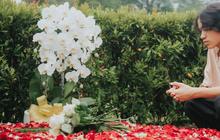 Rindu Berat, Noah Sinclair Anak BCL Ziarah ke Makam Mendiang Ayahnya Ashraf Sinclair
