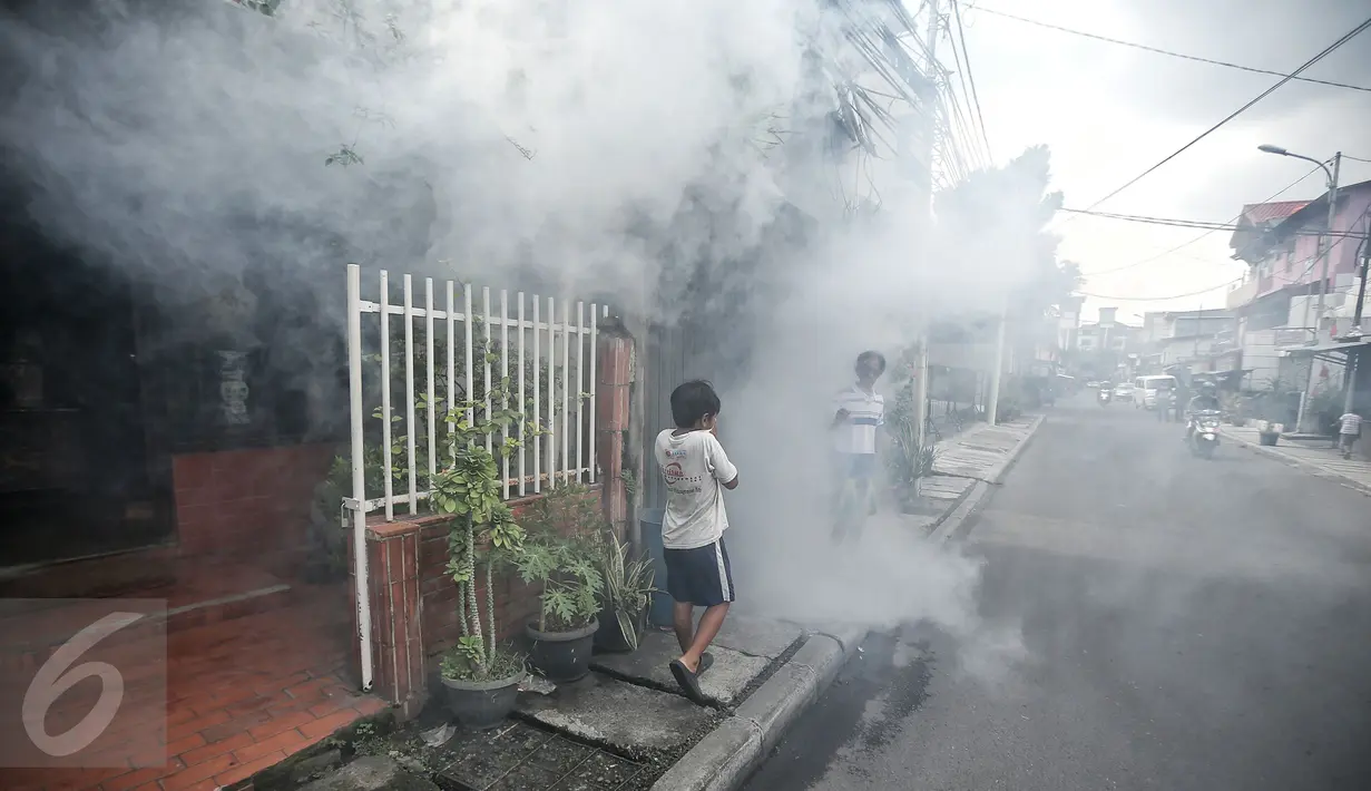 Seorang anak menutup hidungnya saat dilakukan pengasapan (Fogging) di kelurahan Menteng, Jakarta, Senin (8/2). Pengasapan dilakukan untuk mencegah wabah penyakit demam berdarah yang kerap muncul pada peralihan musim. (Liputan6.com/Faizal Fanani)
