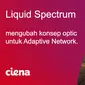 Operator jaringan memerlukan arsitektur yang cerdas, fleksibel, otonom, gesit, optimal, dan mudah diprogram.