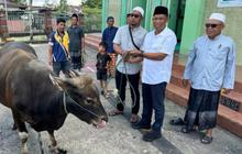 Tragis, Tukang Jagal Hewan Kurban Meninggal Diduga Kena Serangan Jantung Saat Bertugas