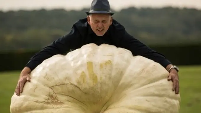 Graham Barrat berpose dengan labu miliknya seberat 319,8 kg | copyright AFP PHOTO/OLI SCARFF