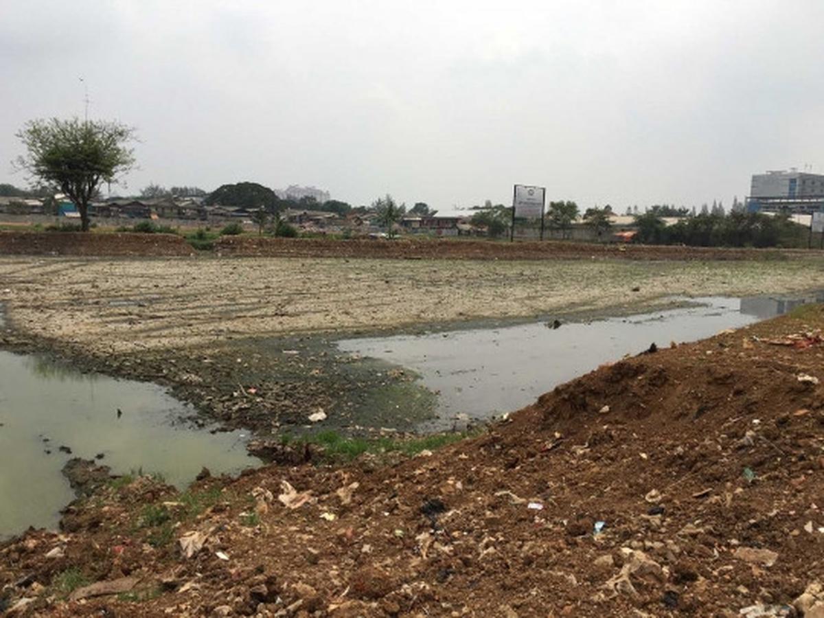 Kondisi Waduk Ria Rio yang kering kerontang akibat kemarau panjang