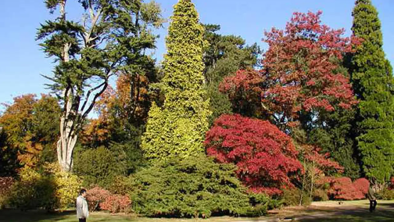 Arboretum di Wonosobo Potensial Jadi Wisata Alam Edukatif
