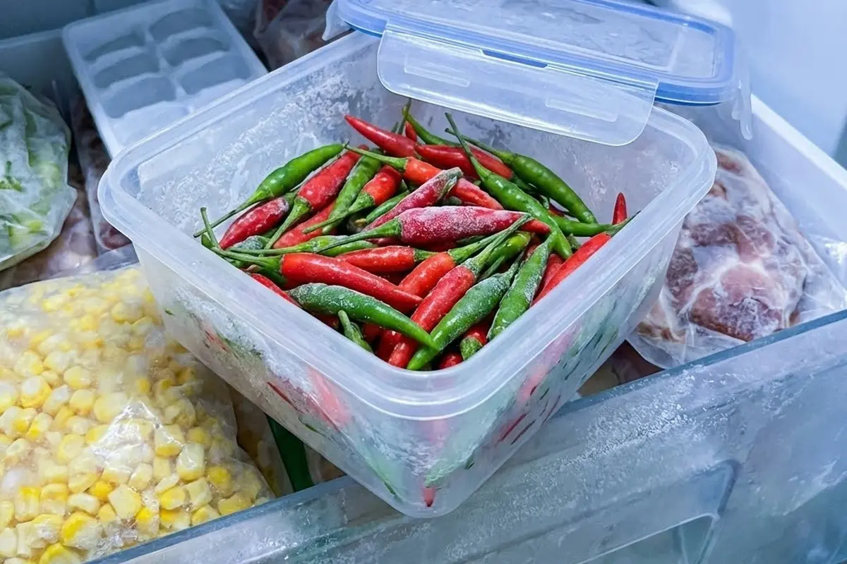 Ilustrasi Menyimpan Cabai Rawit di Freezer