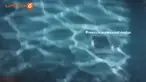 Siapa bilang teknologi dan air tidak bisa menyatu? Buktinya, kini banyak smartphone yang unjuk gigi dengan mengunggulkan fitur waterproof. Simak yuk daftarnya 