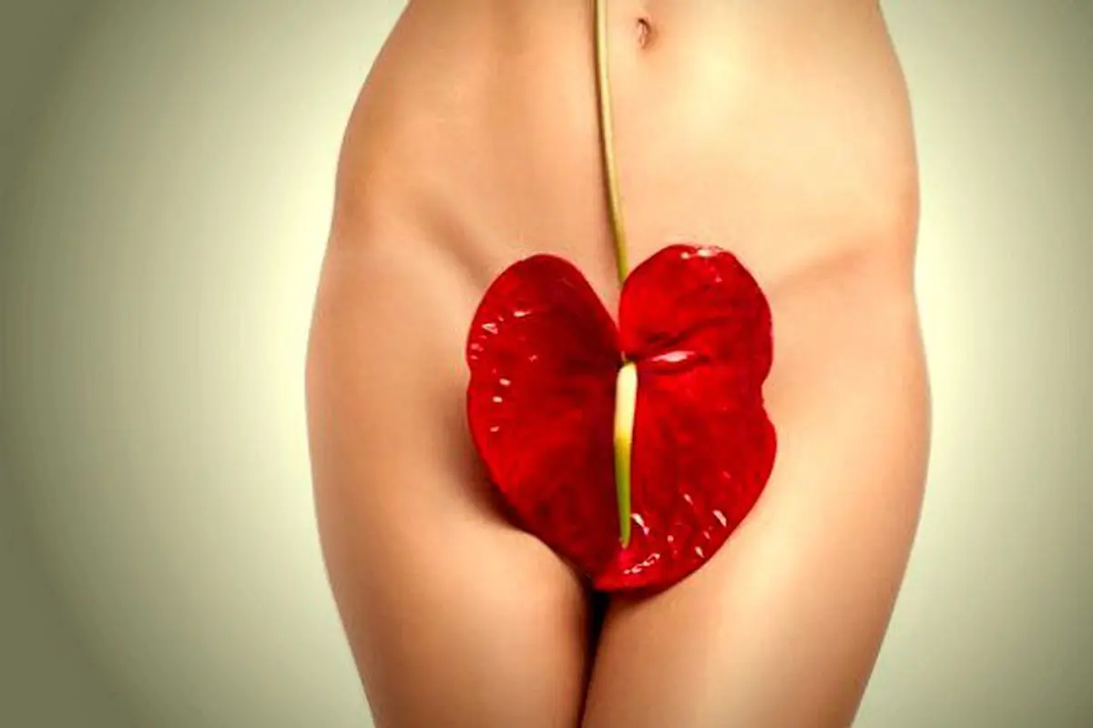 Ilustrasi Bibir Vagina