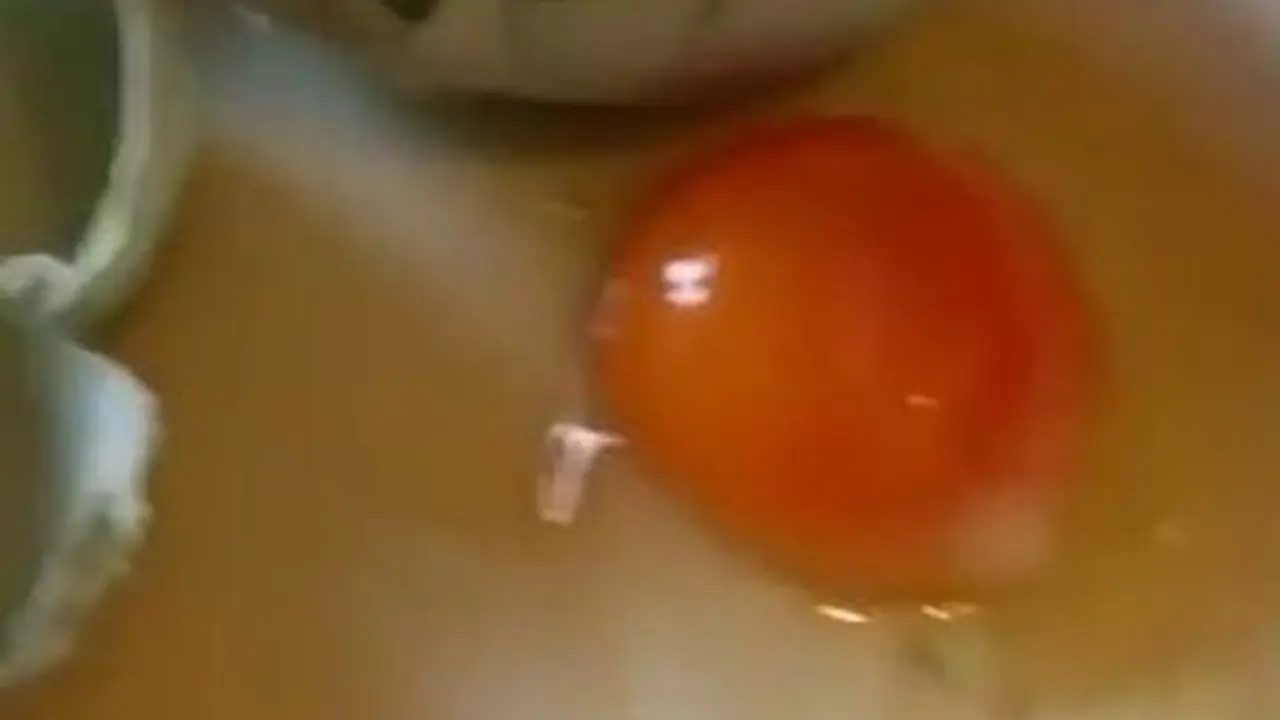 Ajaib dan Langka! Dipecahkan, Telur Ini Keluarkan Telur Lagi