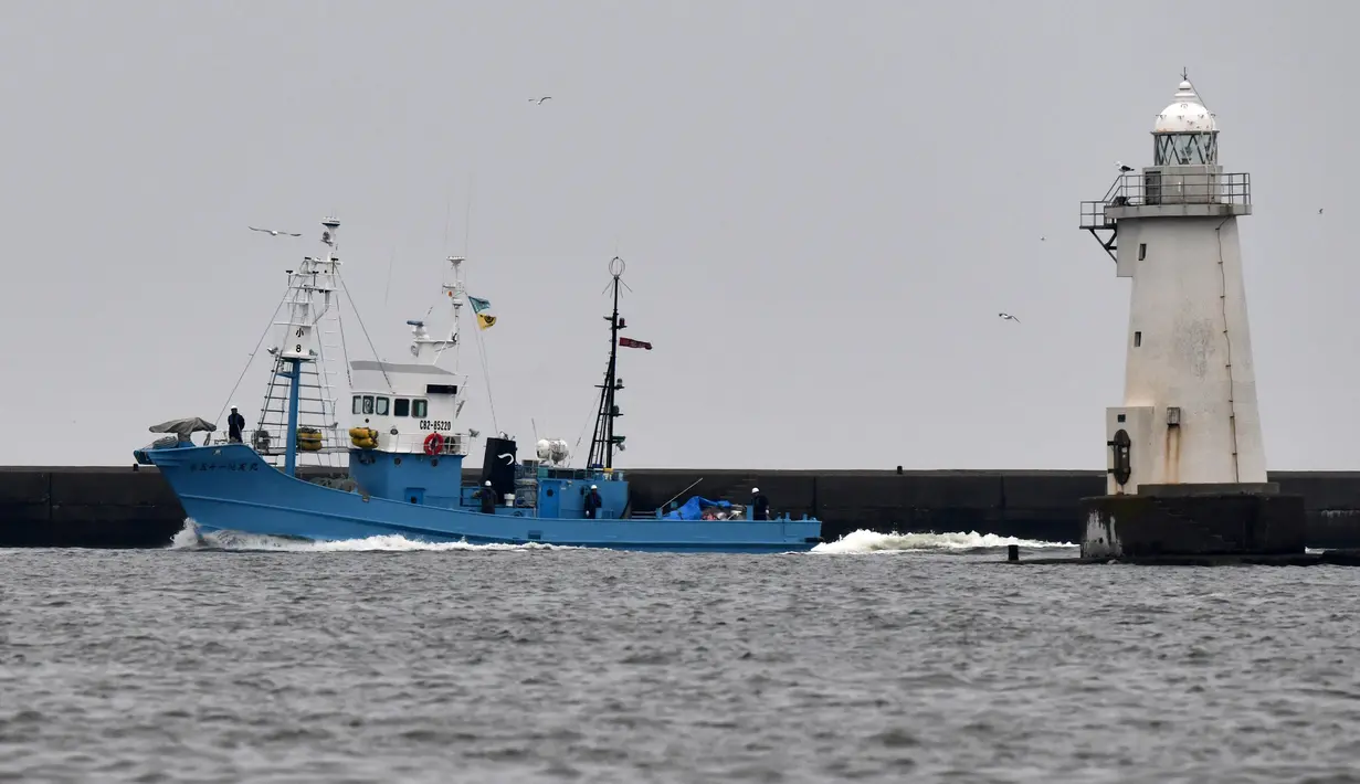 Sebuah kapal yang menangkap Paus Minke tiba di pelabuhan Kushiro, Prefektur Hokkaido, Jepang (1/7/2019). Keputusan perburuan Paus Minke tersebut mengundang kecaman dari para aktivis dan negara-negara antiperburuan paus. (AFP Photo/Kazuhiro Nogi)