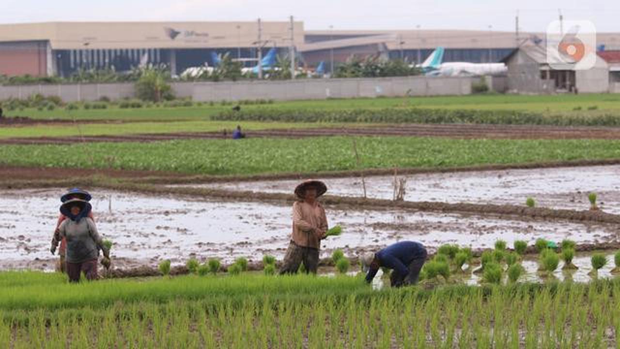 Indonesia Rugi 30 Triliun per Tahun Akibat Pangan Tak Aman