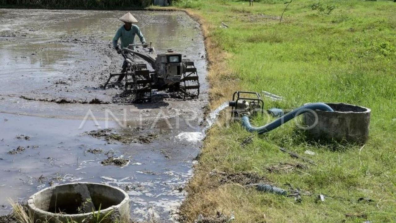 Revitalisasi Irigasi NTB: Jaminan Kedaulatan Pangan Nasional di Tengah Tantangan Iklim