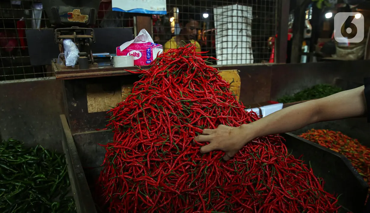 Sementara itu, pada Senin (24/2/2025), di Pasar Senen Jakarta harga cabai merah dijual dikisaran harga Rp70.000 sampai Rp80.000 per kilogram. (Liputan.com/Angga Yuniar)