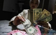 Bank Dunia Diminta Setop Pembiayaan untuk Peternakan Intensif, Ini Alasannya