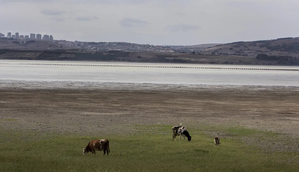 Pemandangan dasar Danau Buyukcekmece di Istanbul, Turki, 21 September 2020. Ketinggian air di sembilan bendungan yang memasok kebutuhan Kota Istanbul pada 21 September 2020 merosot menjadi 40 persen, turun dari 52 persen pada periode yang sama tahun lalu. (Xinhua/Osman Orsal)