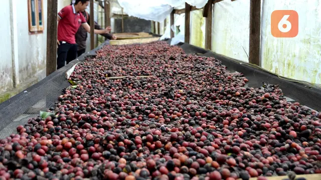 Kopi Bengkulu Hadir di IMF-WB Annual Meeting