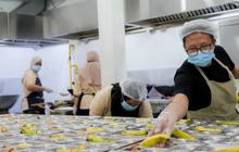 Menu Ikan Hiu Jadi Sorotan, Ini Alasan BGN Sajikan dalam Program MBG di Kalbar
