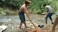 KILAS NUSANTARA: Viral Video Penyiksaan Simpai Sumatra hingga Pria di Mojokerto Pukul Orangtua Pakai Martil