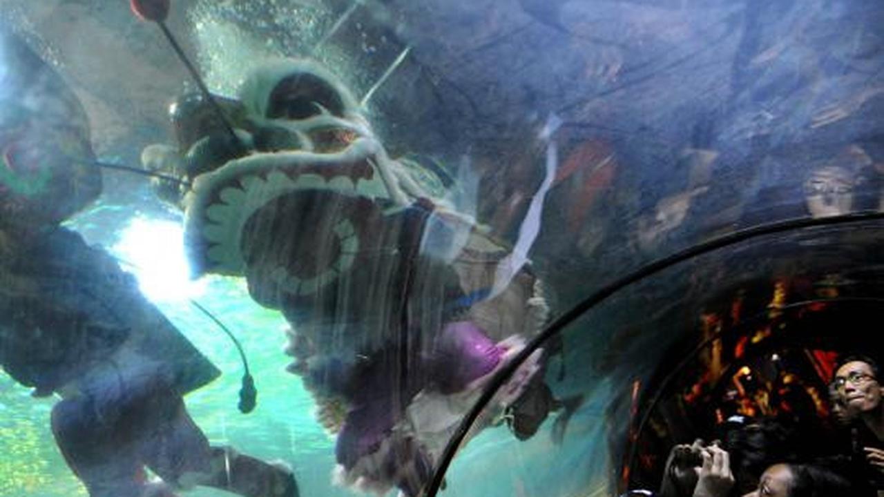 Atraksi Liong dan Barongsai hibur pengunjung Sea World Ancol