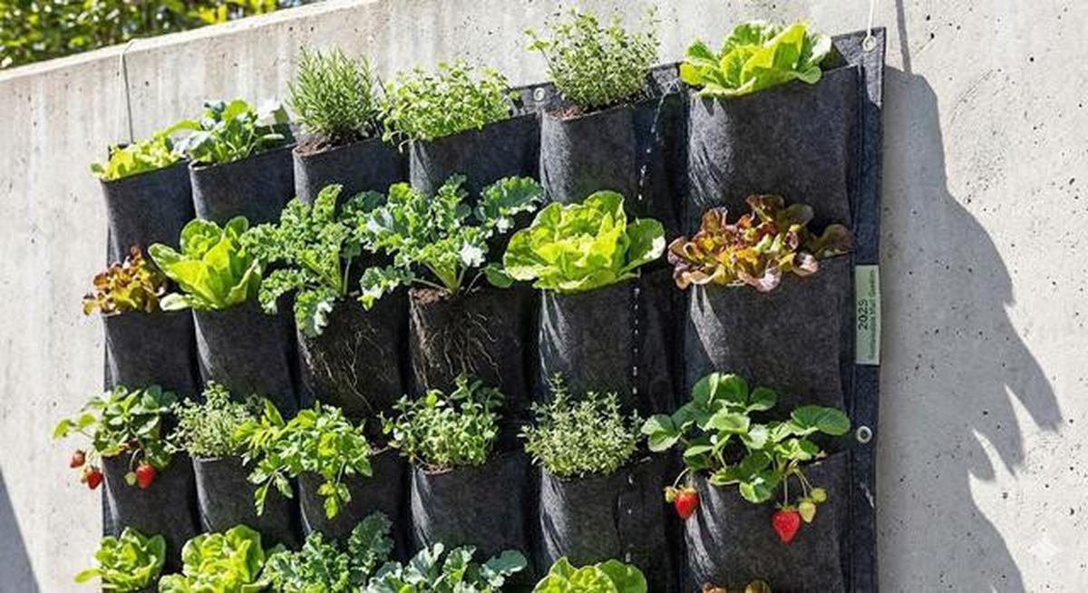 9 Ide Kebun Sayur Bertingkat di Teras Rumah, Hemat Ruang