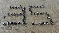 Inisiatif Penanaman Mangrove Jadi Solusi Efektif untuk Perlindungan Ekosistem Pesisir. foto: istimewa