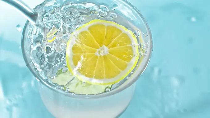 copyright by Shutterstock.com