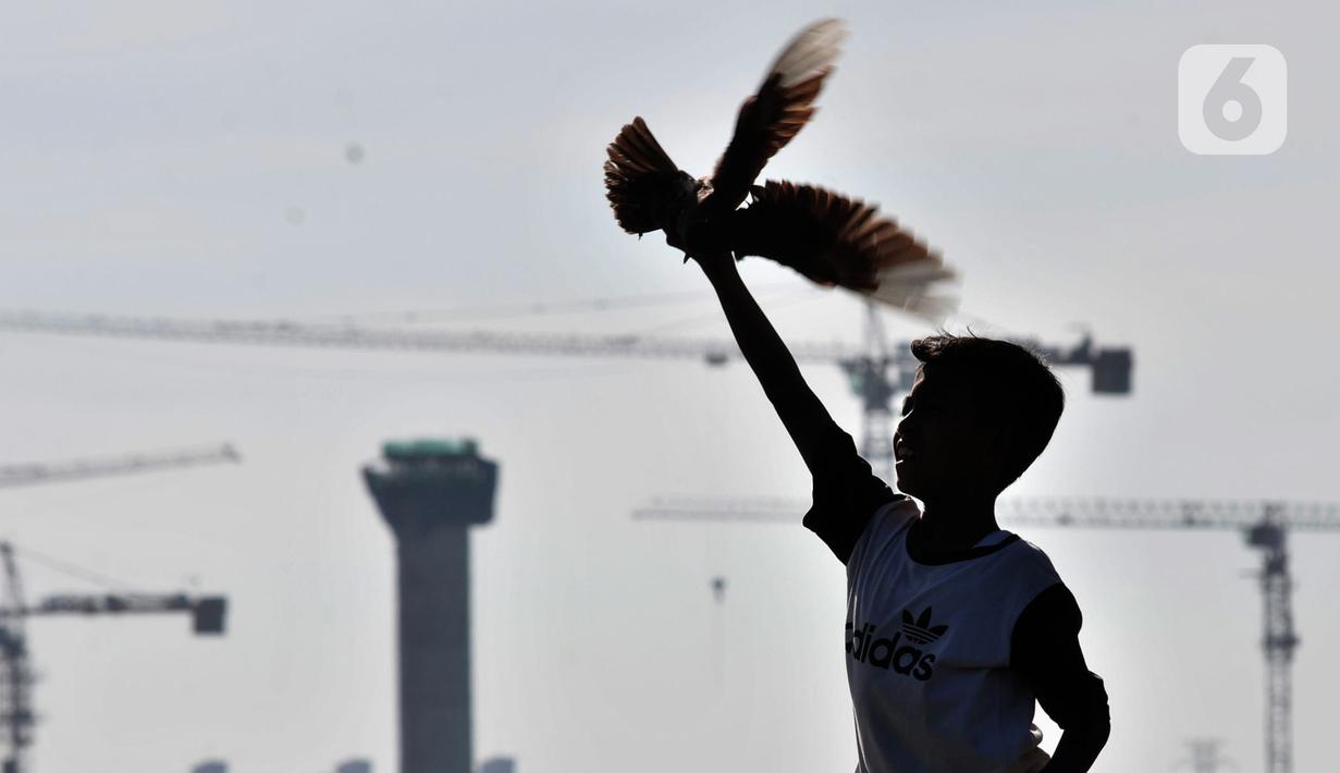 Seorang anak melatih burung dara atau merpati kolongan di kawasan Papanggo, Jakarta, Rabu (29/1/2020). Merpati kolongan menjadi mahal ketika sering memenangkan kejuaraan. (merdeka.com/Iqbal S. Nugroho)