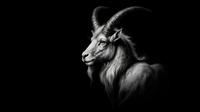 Capricorn quotes that reflect their strength. (Photo: Gerd Altmann/Pixabay)