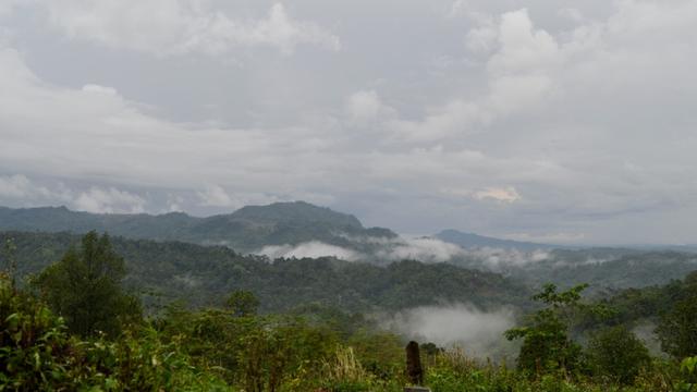 Kepahiang Kembangkan Kopi Premium Fine Robusta