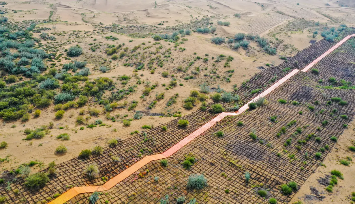 Pemandangan Gurun Kubuqi di Wilayah Dalad, Ordos, Daerah Otonom Mongolia Dalam, China, 14 September 2020. Setelah kerja keras selama puluhan tahun, Gurun Kubuqi yang dahulu dikenal sebagai "laut kematian" dan bahkan burung kesulitan melintasinya, kini telah berubah menjadi hijau. (Xinhua/Lian Zhen)