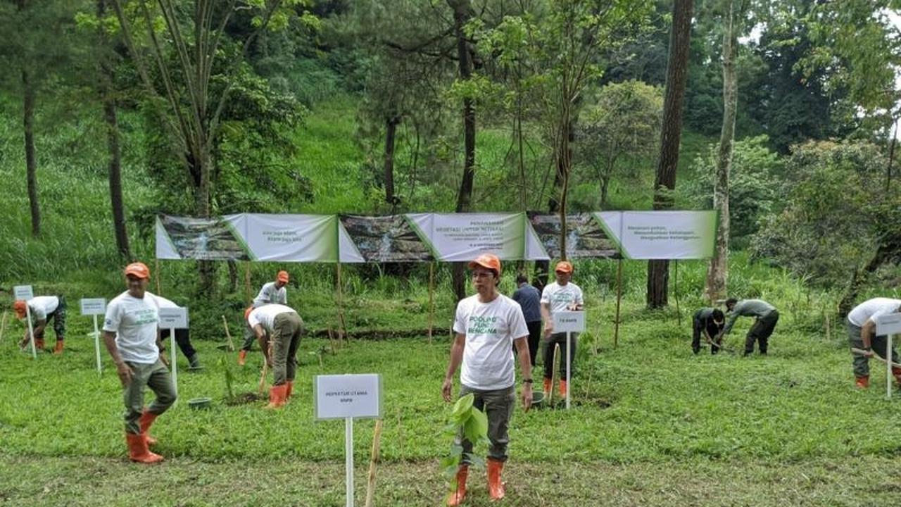 BNPB Perkuat Mitigasi Bencana dengan Penanaman Vegetasi di Jawa Timur