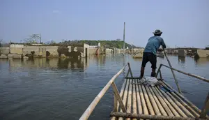 Bendungan Karian Surut, Kampung Somang Muncul Kembali