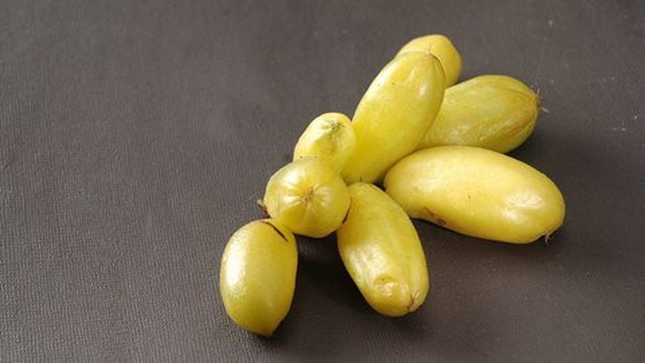 Manfaat Belimbing Wuluh dalam Menurunkan Kolesterol dan Tekanan Darah