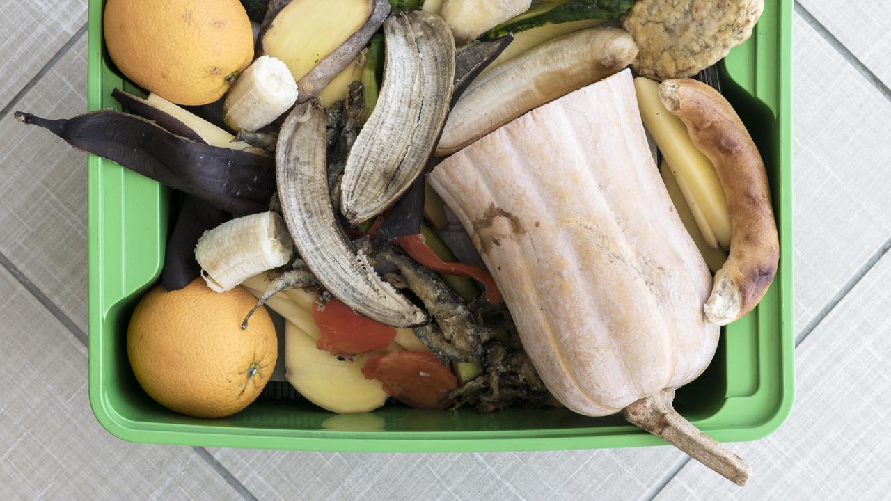 Tips Mengelola Sampah Sisa Makanan