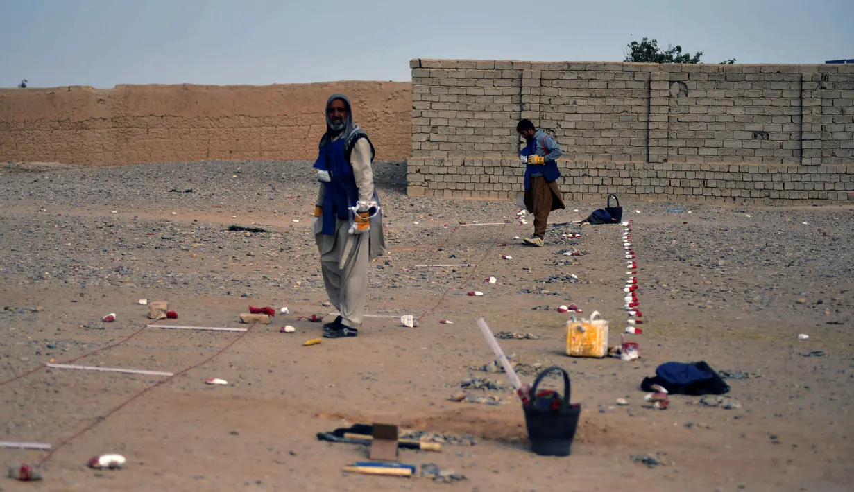 Organisasi penjinak ranjau HALO Trust bekerja di ladang ranjau, desa Nad-e-Ali, Helmand pada 9 November 2021. Sekitar 41.000 warga sipil Afghanistan terbunuh atau terluka oleh ranjau darat dan persenjataan yang tidak meledak sejak 1988, menurut Layanan Pekerjaan Ranjau PBB. (Javed TANVEER/AFP)